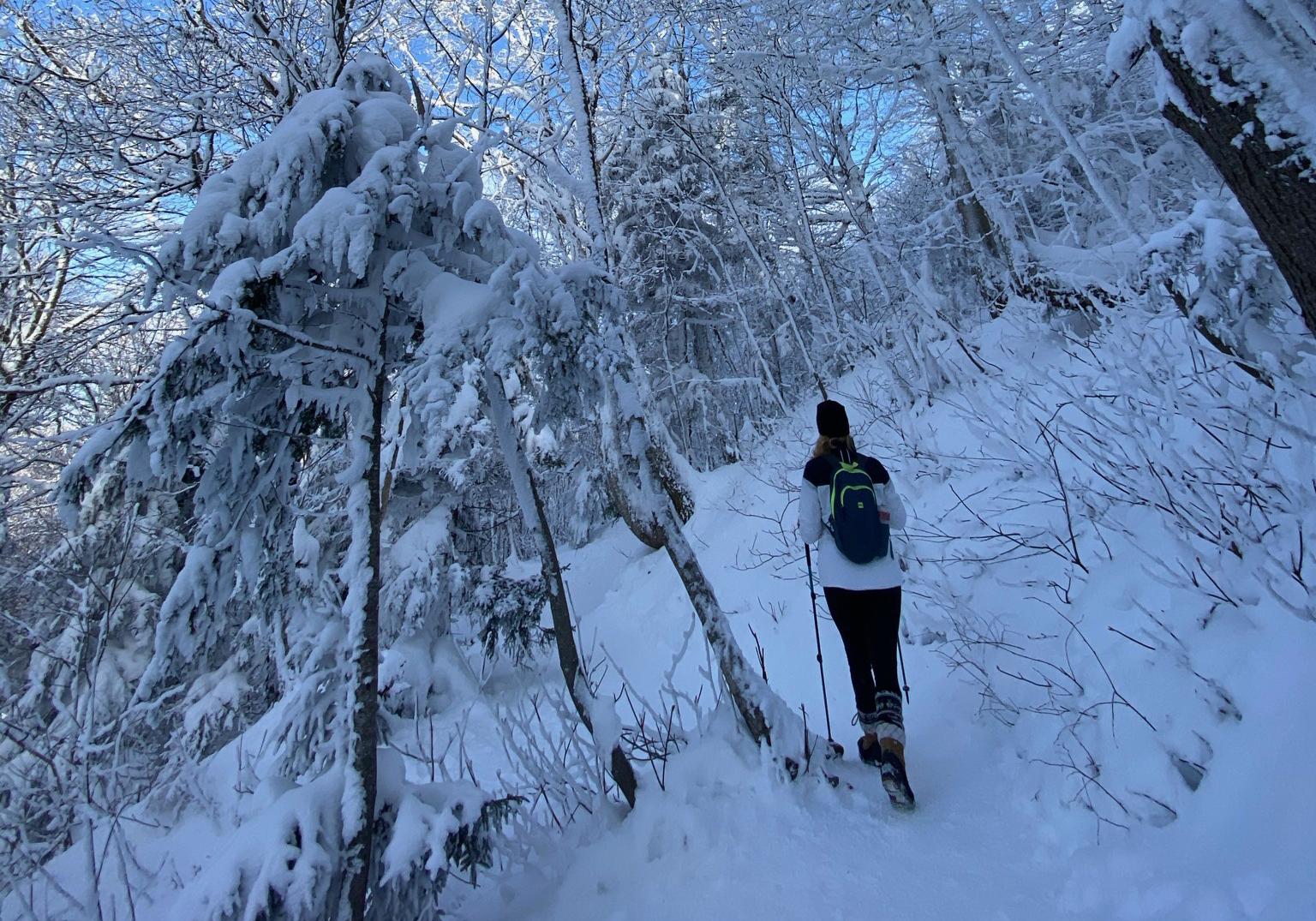 Hiker walking with trekking poles on a snowy forest trail in the Eastern Townships of Quebec.