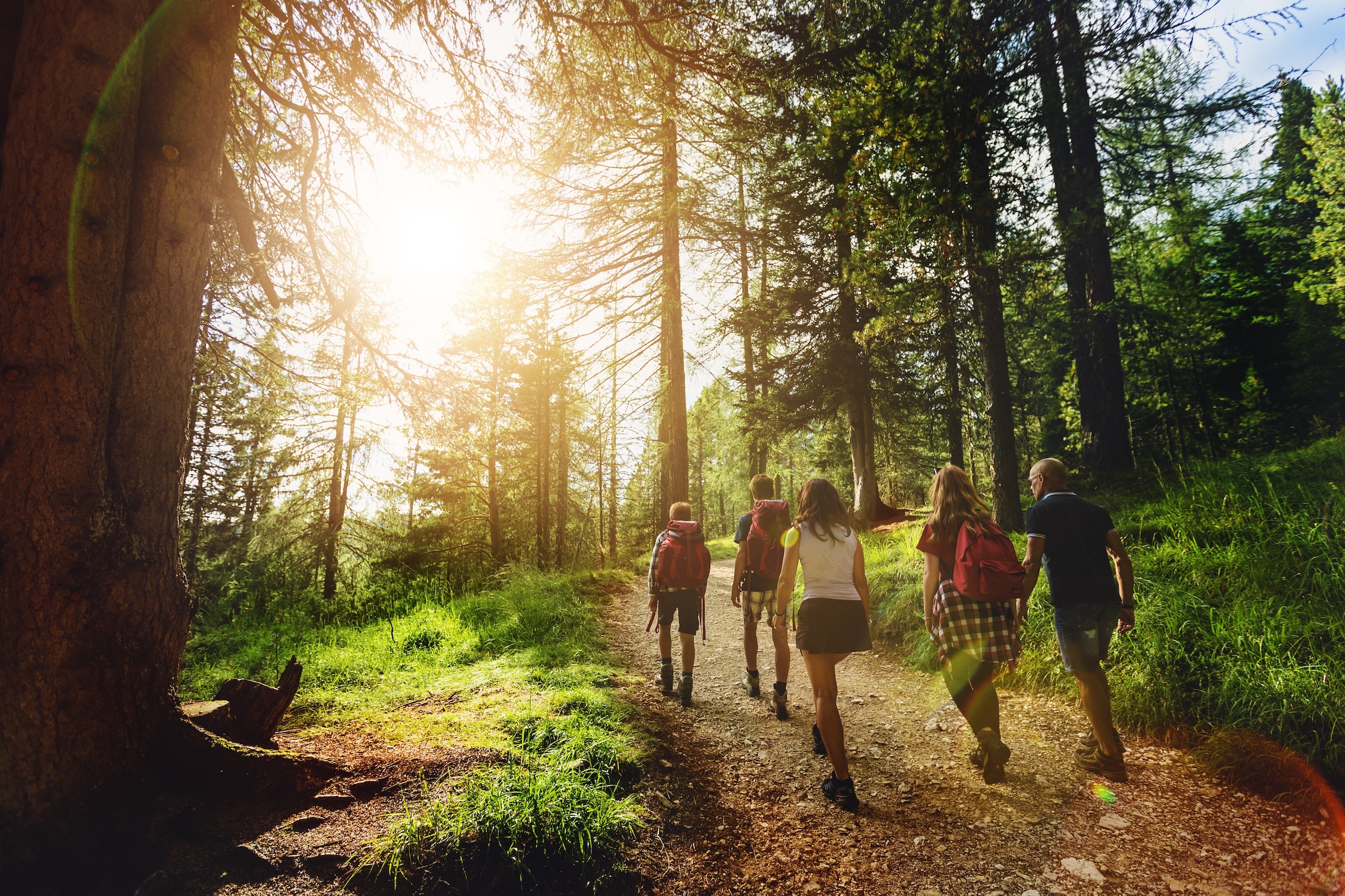 Group enjoying a forest hike during an outdoor cottage getaway in Ontario
